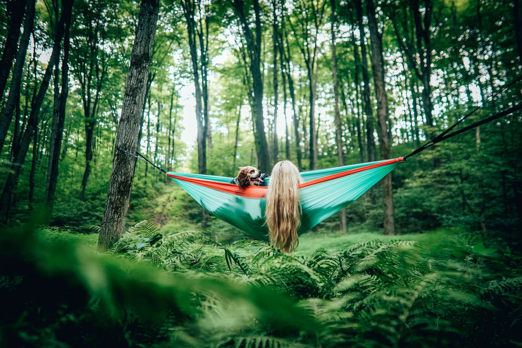 Ultimate guide to chilling in your hammock