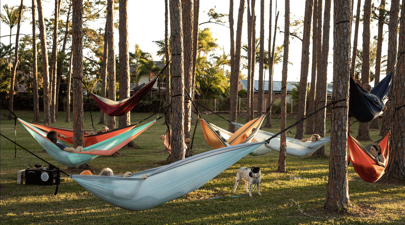 A family all relaxing in different hammocks together 