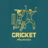 Cricket Australia Recycled Hammock with Straps swatch 1.0