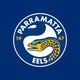 Eels - NRL Recycled Sand Free Beach Towel colour swatch