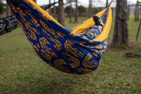 Eels - NRL Recycled Hammock with Straps