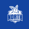 North Melbourne Kangaroos - AFL Recycled Sand Free Beach Towel swatch 1.0