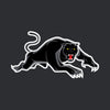 Panthers - NRL Sustainable Down Puffy Blanket colour swatch