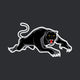 Panthers - NRL Recycled Sand Free Beach Towel colour swatch