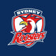 Roosters - NRL Recycled Sand Free Beach Towel colour swatch