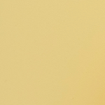 Daisy Yellow - Cooler & Coffee Cup